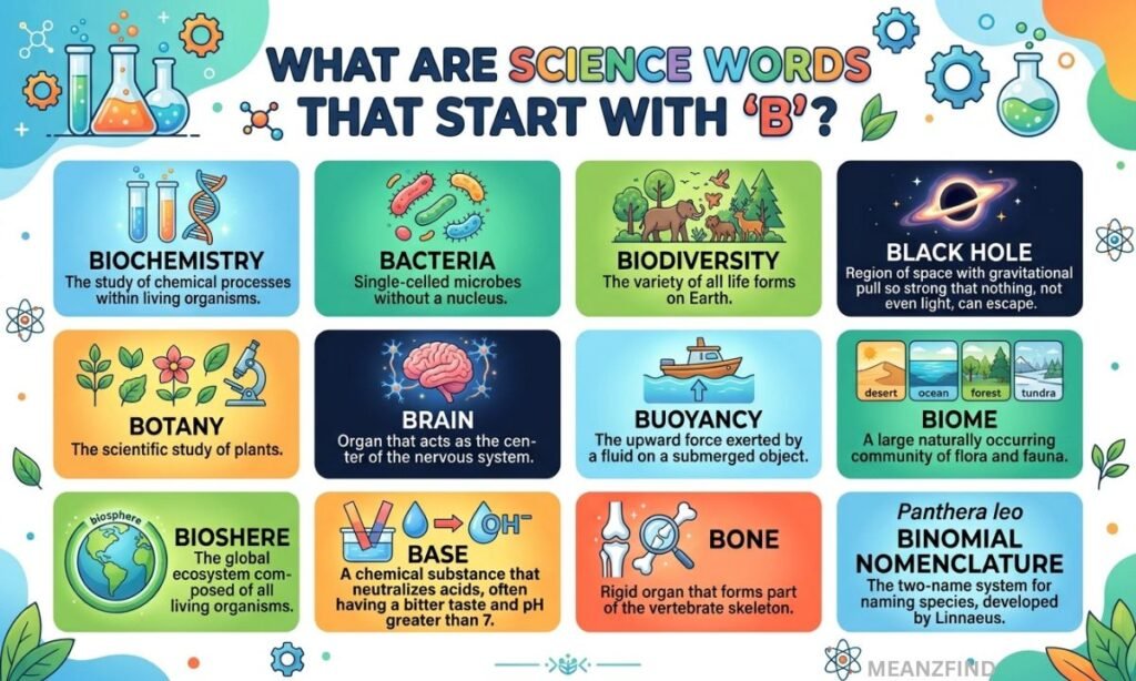 What Are Science Words That Start With B?